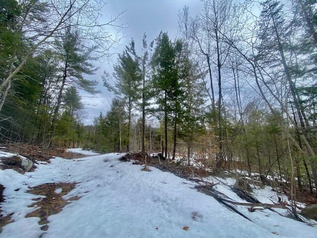 Photo of 1186 Middle Road, Parsonsfield, ME 04047 (MLS # 1657338)