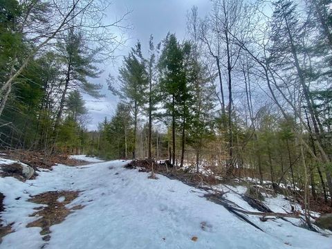 Photo of 1186 Middle Road, Parsonsfield, ME 04047 (MLS # 1657338)