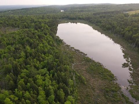Photo of Lot 13 Parker Pond Road, Sebec, ME 04481 (MLS # 1663663)