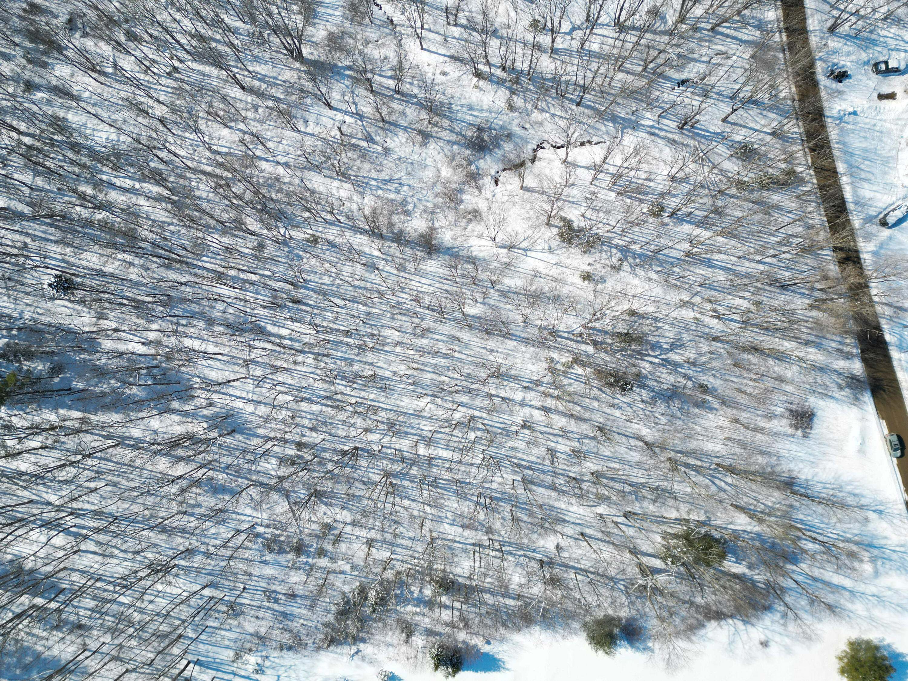 P/O 205 Ralph Wink Road