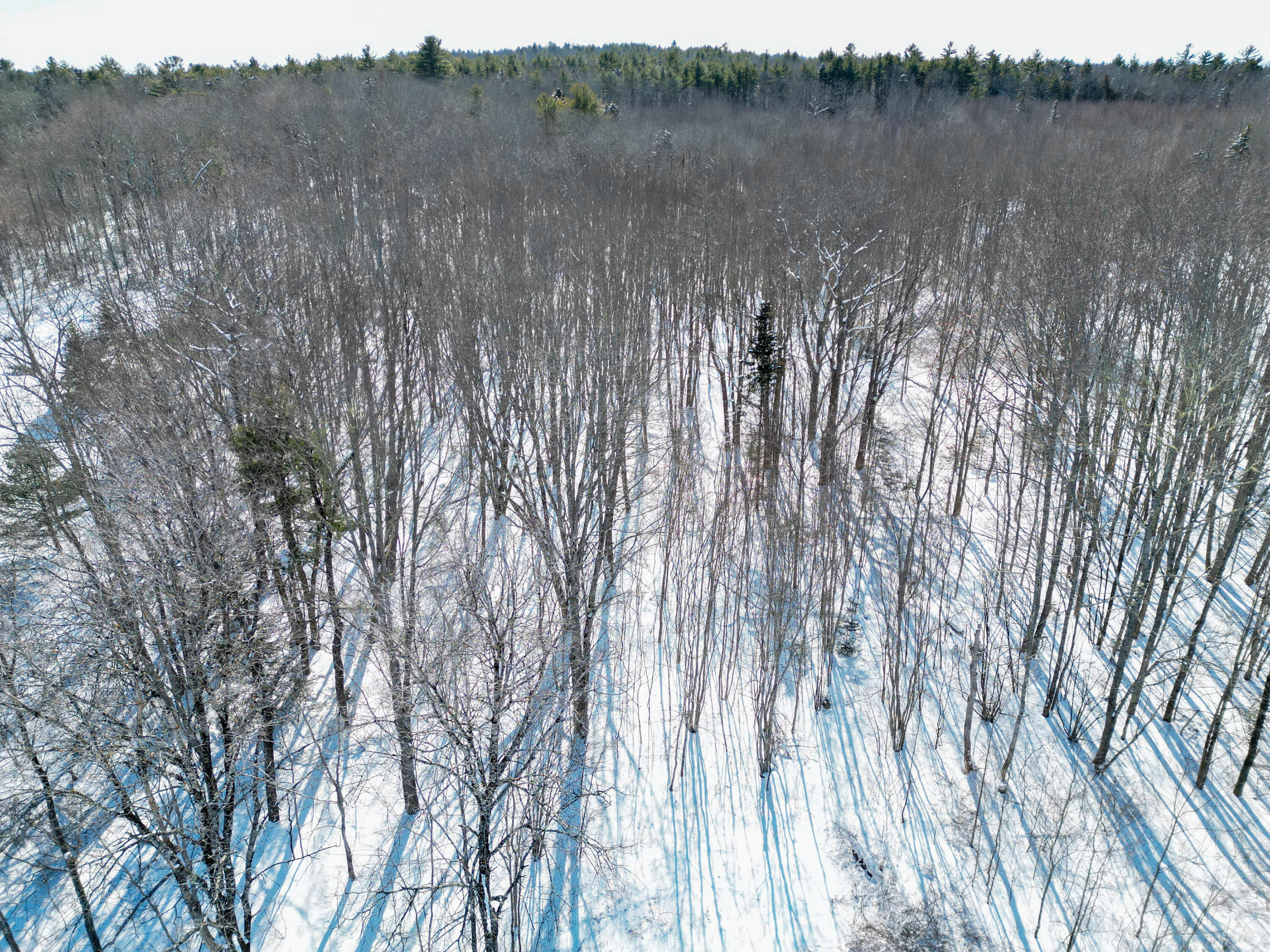 P/O 205 Ralph Wink Road