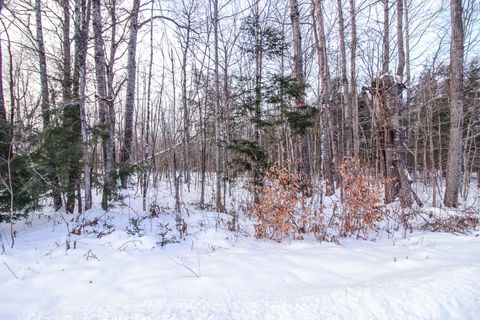 Photo of M2-L22 Big Bunker Hill Road, Maxfield, ME 04453 (MLS # 1647720)
