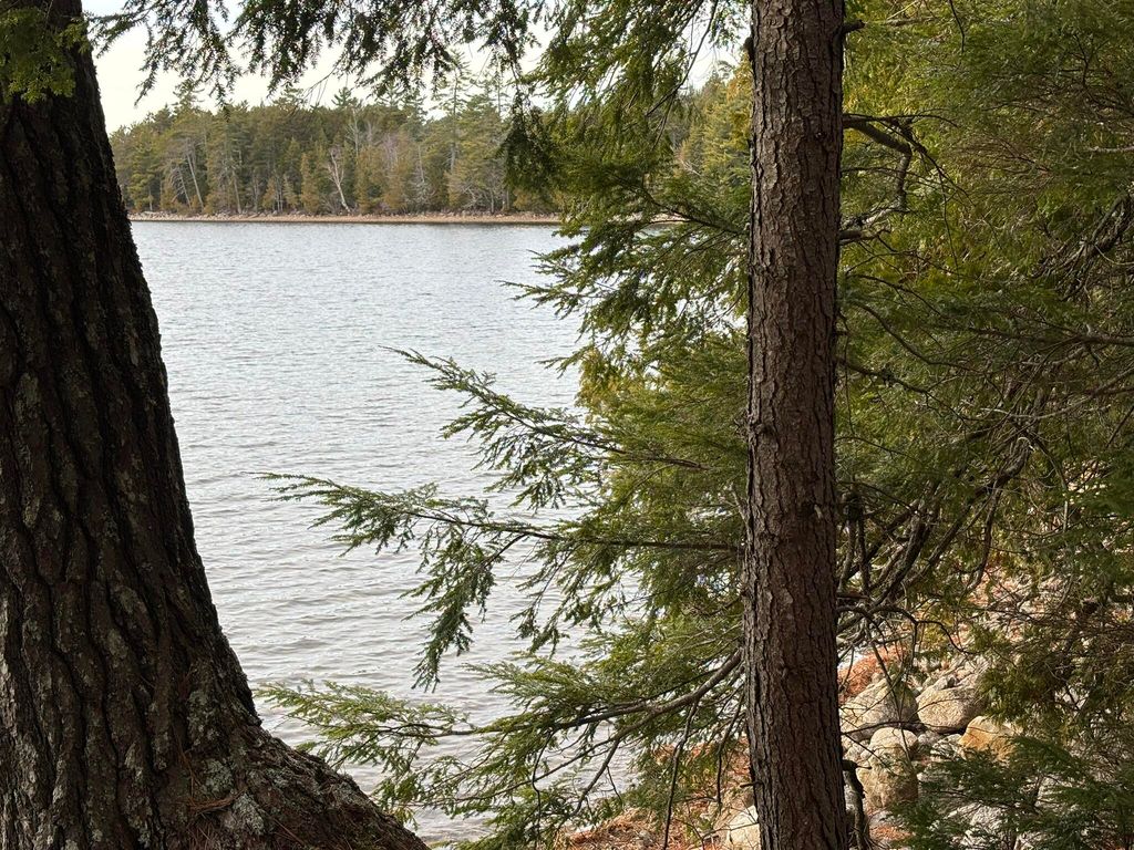 Photo of 189 Horseshoe Cove Road, Lakeville, ME 04487 (MLS # 1644602)