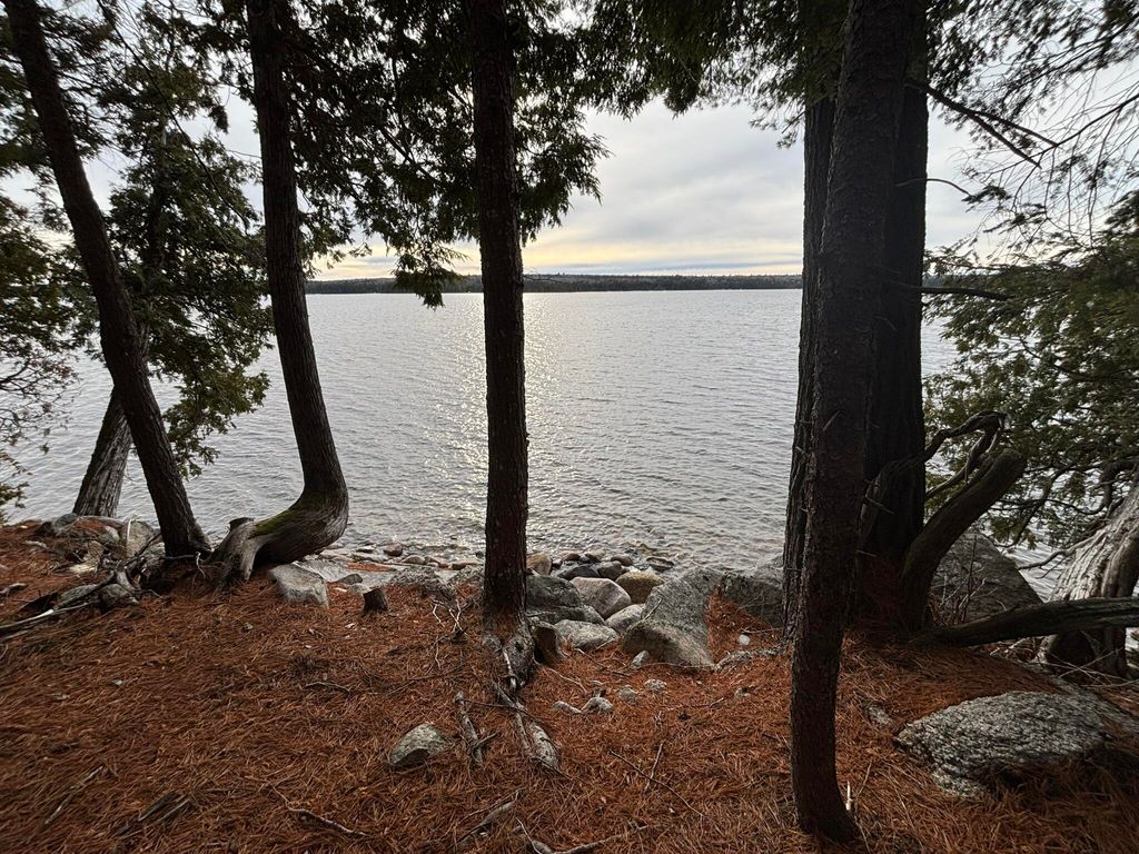 Photo of 189 Horseshoe Cove Road, Lakeville, ME 04487 (MLS # 1644602)