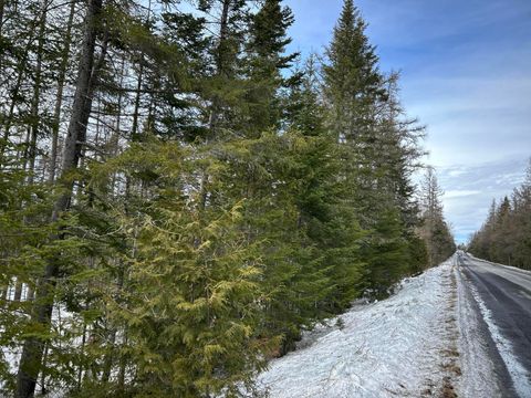Photo of 04-45.10,0 East Jemtland Road, Connor Twp, ME 04736 (MLS # 1653808)
