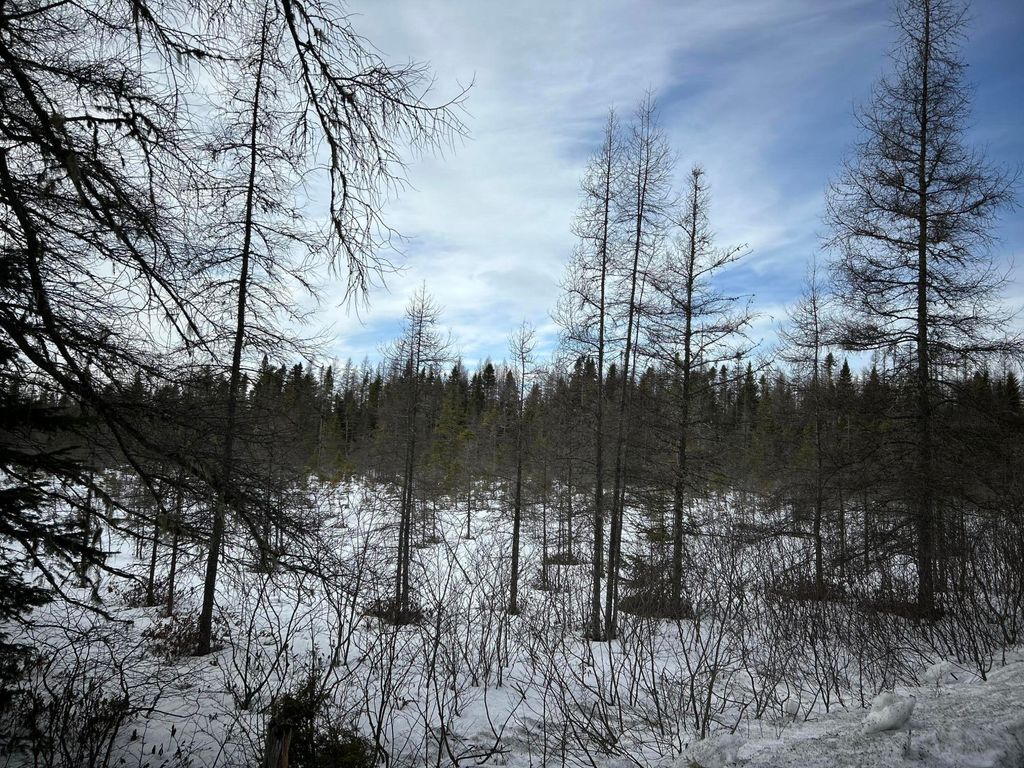 Photo of 04-45.10,0 East Jemtland Road, Connor Twp, ME 04736 (MLS # 1653808)