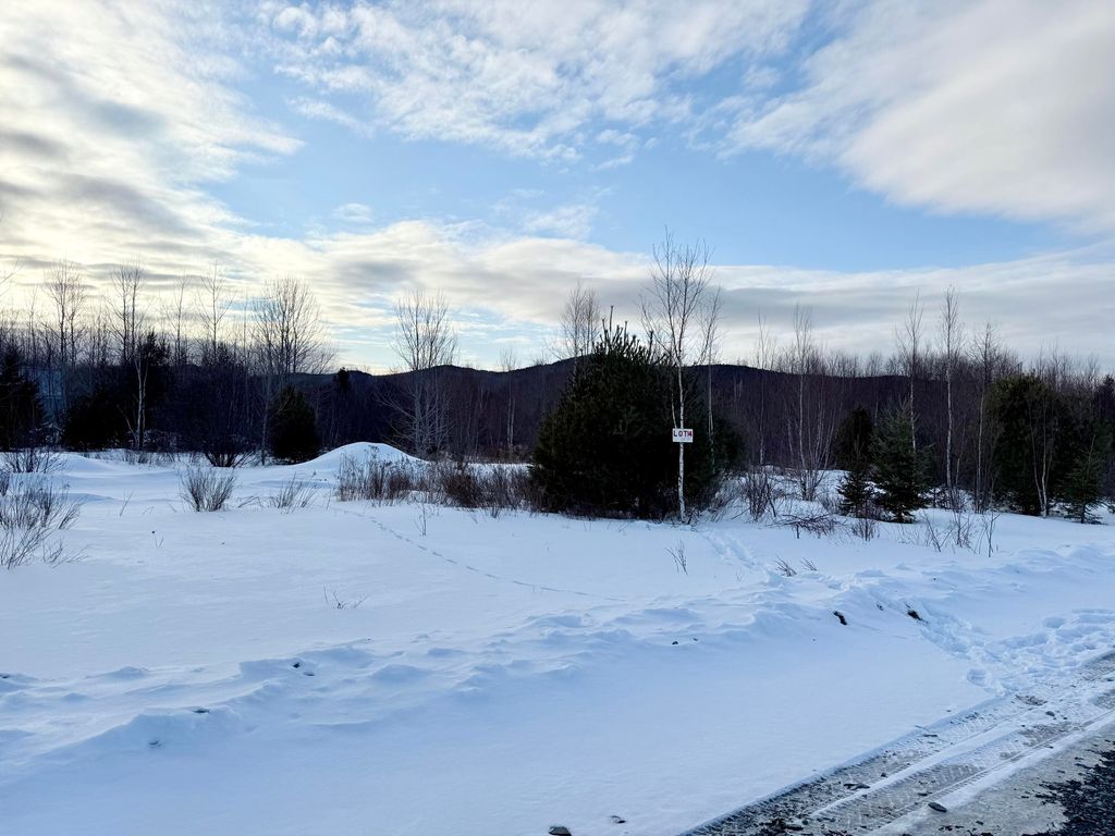 Photo of Lot #14 Greenville Steam Road, Greenville, ME 04441 (MLS # 1653061)
