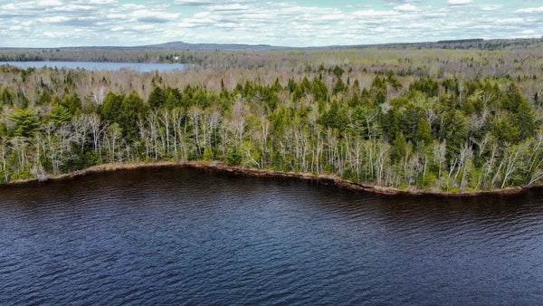 25 WOODLAND RIDGE RD, DANFORTH, ME 04424 - Image 2f043b61ce265cd6a05517e4dc027fe3/517445677