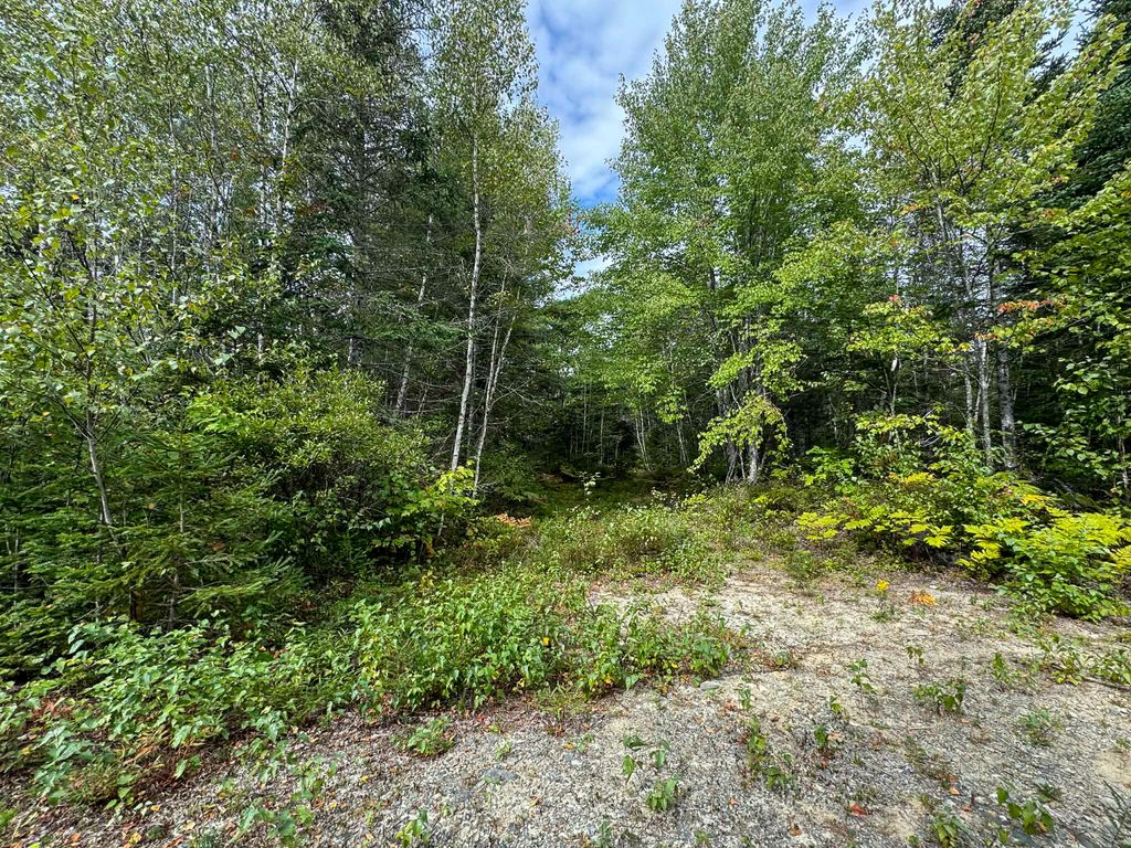 Photo of Lot 6 Black Cow Meadow Road, Northfield, ME 04654 (MLS # 1654773)