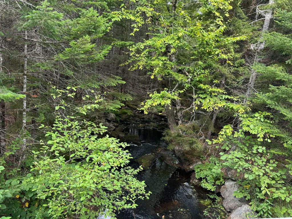 Photo of Lot 6 Black Cow Meadow Road, Northfield, ME 04654 (MLS # 1654773)