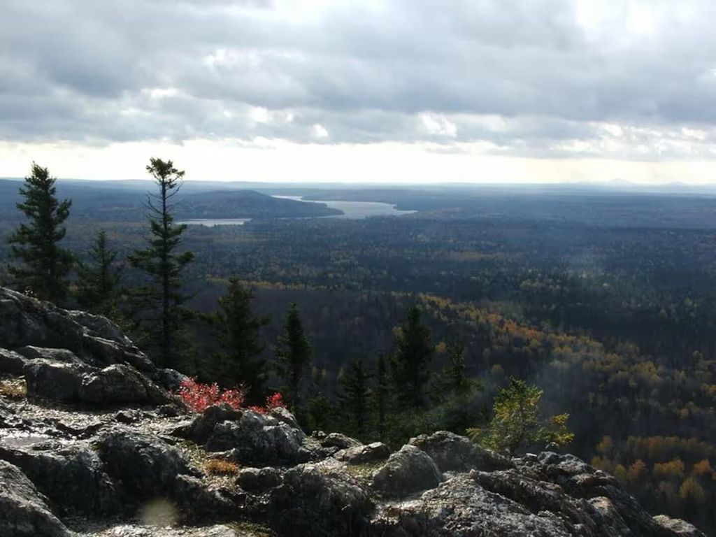 Photo of 835 Haystack Road, Castle Hill, ME 04757 (MLS # 1655733)