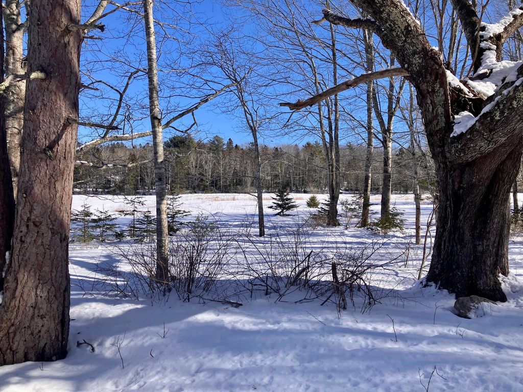 Photo of 0 Russell Farm Road, Bar Harbor, ME 04609 (MLS # 1653632)
