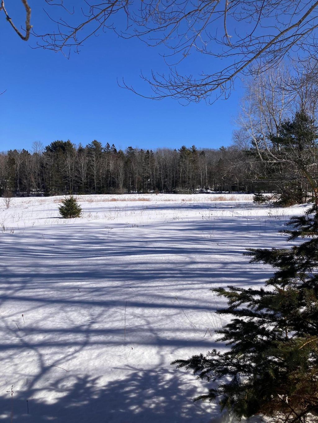 Photo of 0 Russell Farm Road, Bar Harbor, ME 04609 (MLS # 1653632)