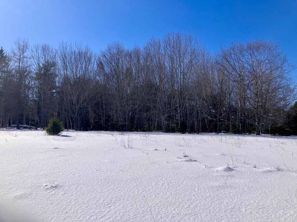 Photo of 0 Russell Farm Road, Bar Harbor, ME 04609 (MLS # 1653632)