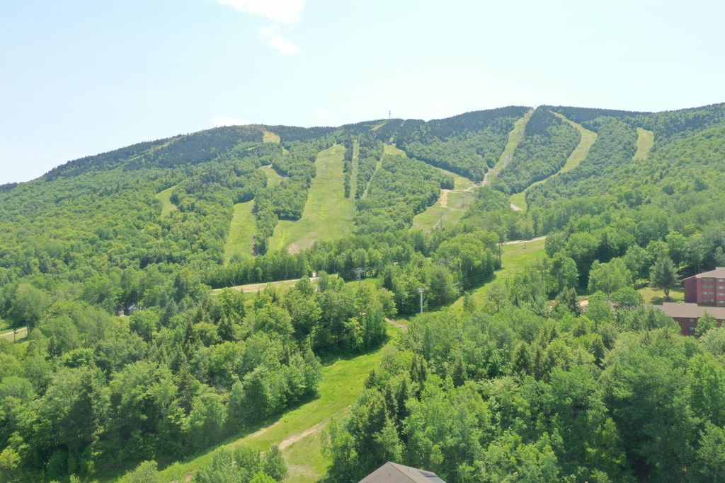 Photo of 8 Fall Line Drive #N211, Newry, ME 04261 (MLS # 1652801)