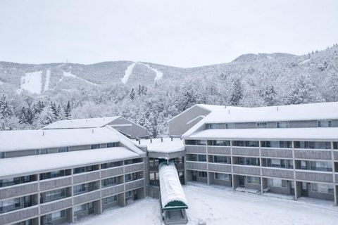 Photo of 8 Fall Line Drive #N211, Newry, ME 04261 (MLS # 1652801)