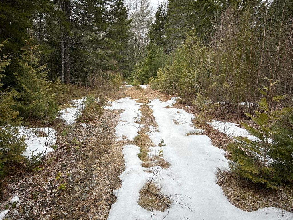 Photo of WA31P01L21 Kings Street, Dennysville, ME 04628 (MLS # 1656284)