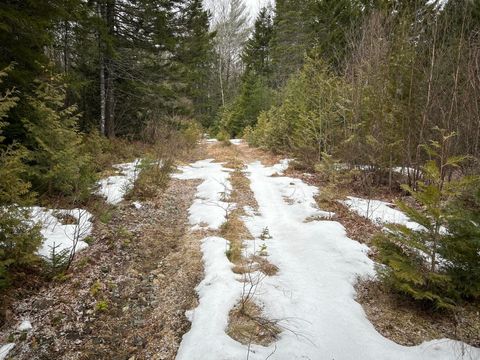 Photo of WA31P01L21 Kings Street, Dennysville, ME 04628 (MLS # 1656284)