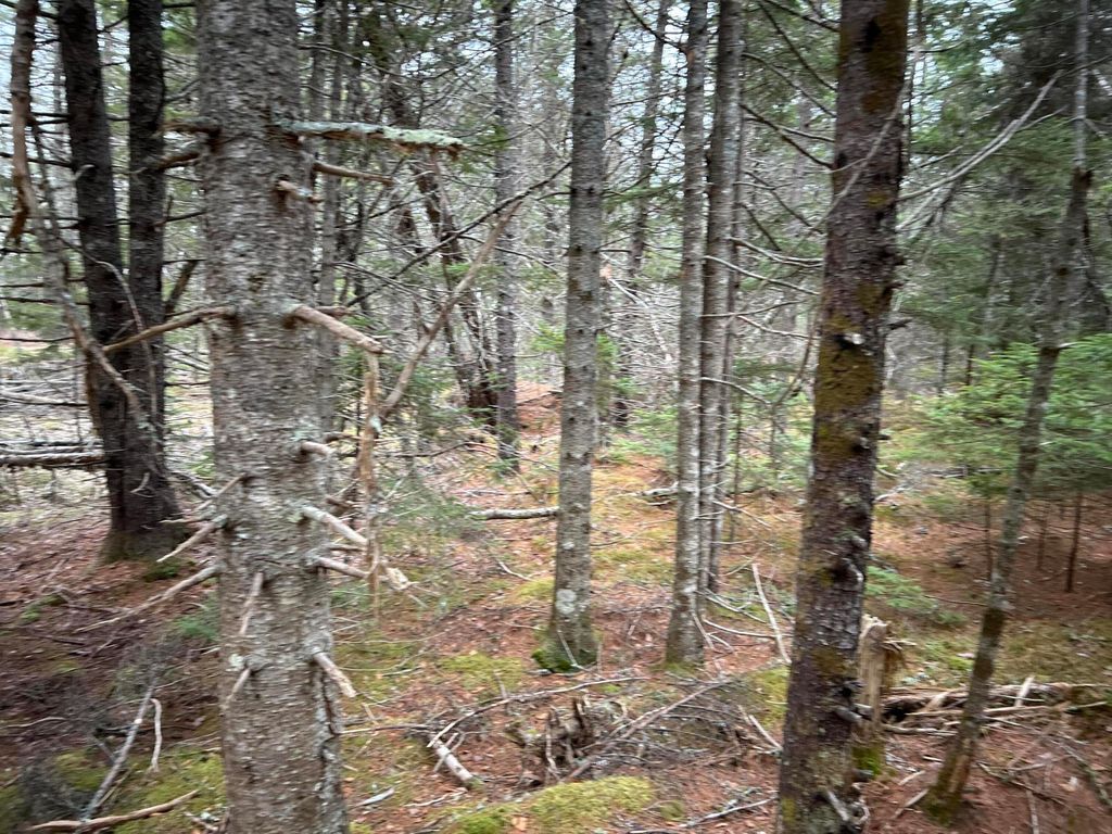 Photo of WA31P01L21 Kings Street, Dennysville, ME 04628 (MLS # 1656284)