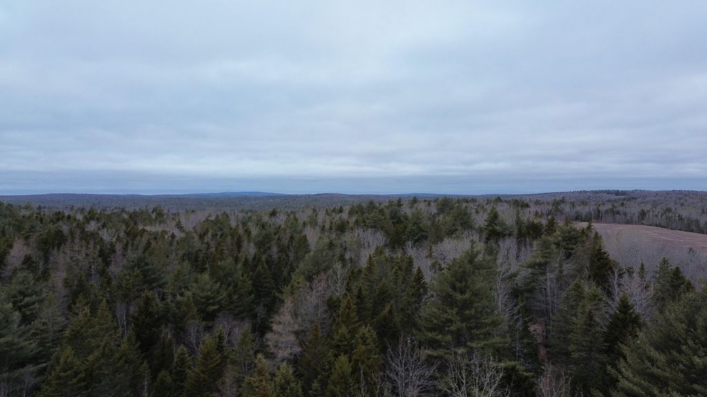Photo of WA31P01L21 Kings Street, Dennysville, ME 04628 (MLS # 1656284)