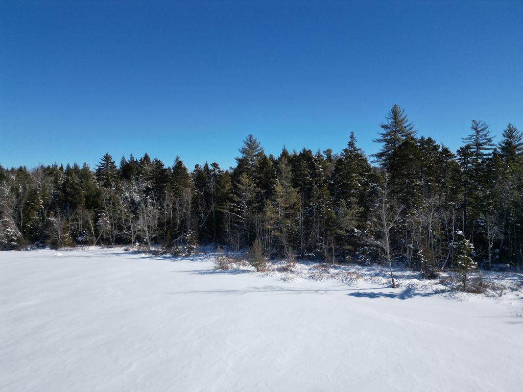 Photo of 21 Kingfisher Cove Road, Lincoln, ME 04457 (MLS # 1650740)