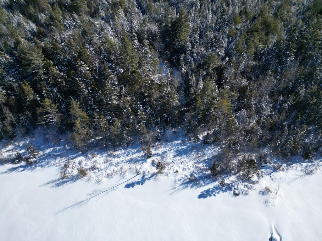 Photo of 21 Kingfisher Cove Road, Lincoln, ME 04457 (MLS # 1650740)