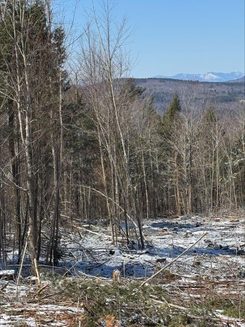 Photo of 00 Ellingwood Road, Paris, ME 04271 (MLS # 1658932)