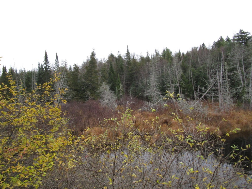 Photo of lot 25 medford center, Medford, ME 04463 (MLS # 1642289)
