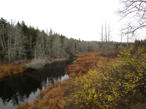 Photo of lot 25 medford center, Medford, ME 04463 (MLS # 1642289)