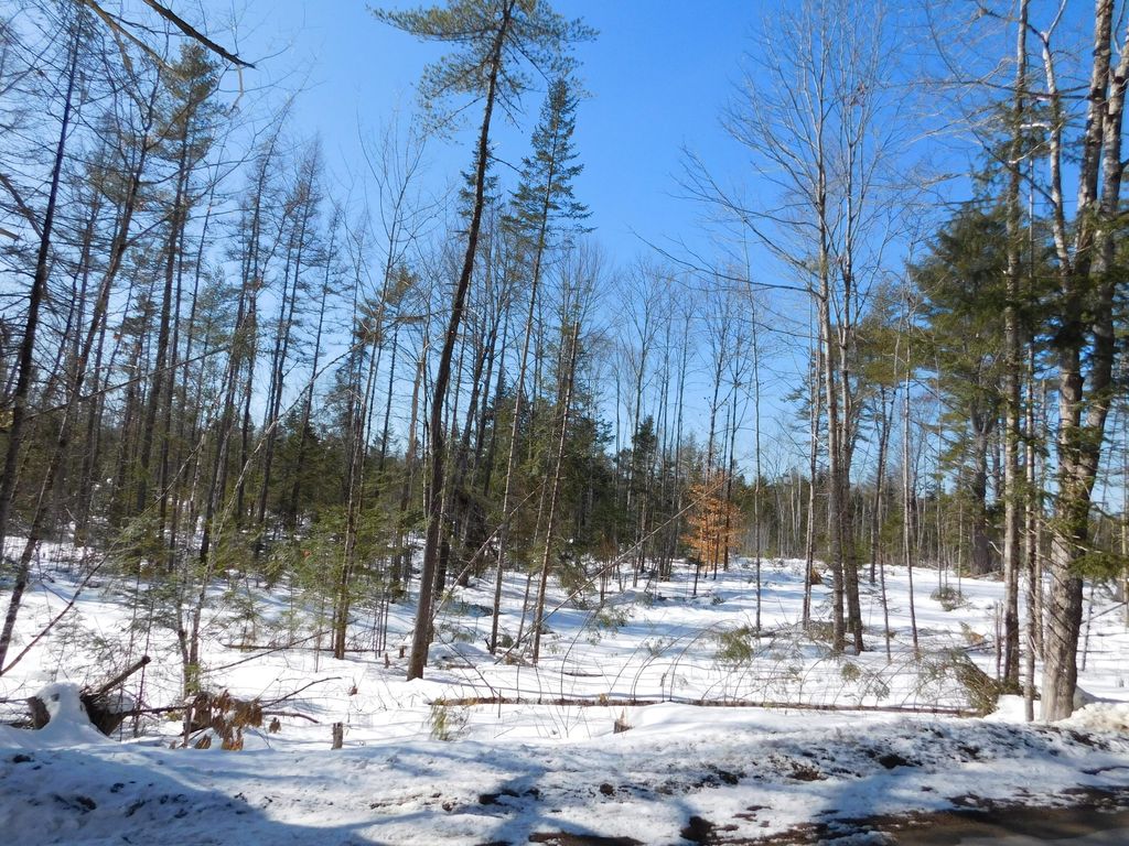Photo of Lot # 1 Spring Bridge Road, Greenbush, ME 04418 (MLS # 1652556)