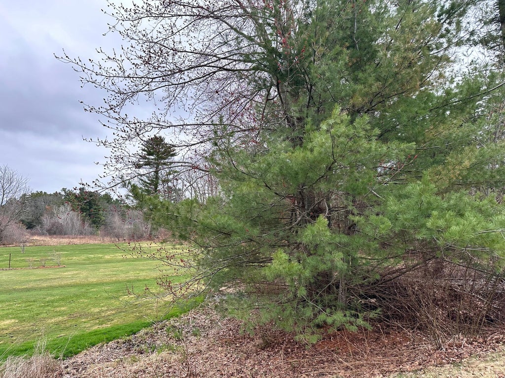 Photo of Lot 40-1 Sevigny Avenue, Biddeford, ME 04005 (MLS # 1657932)