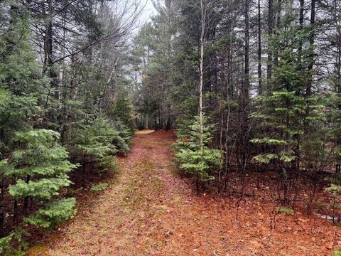 Photo of SO 001 Plan 2 Lot 16.1 Long Falls Dam Road, Lexington Twp, ME 04961 (MLS # 1658591)