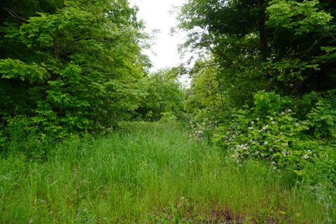 Tiny photo for Lot 4.111 Lyford Road, Orneville Twp, ME 04463 (MLS # 1652310)
