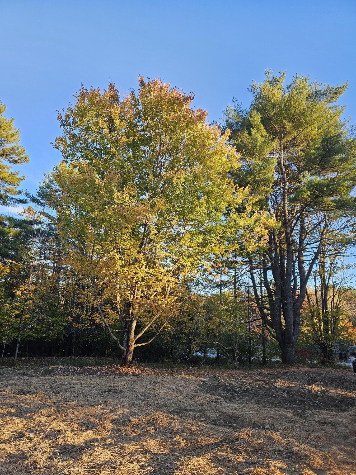 Winterport, Maine 04496, United States, ,Land,Active,235891