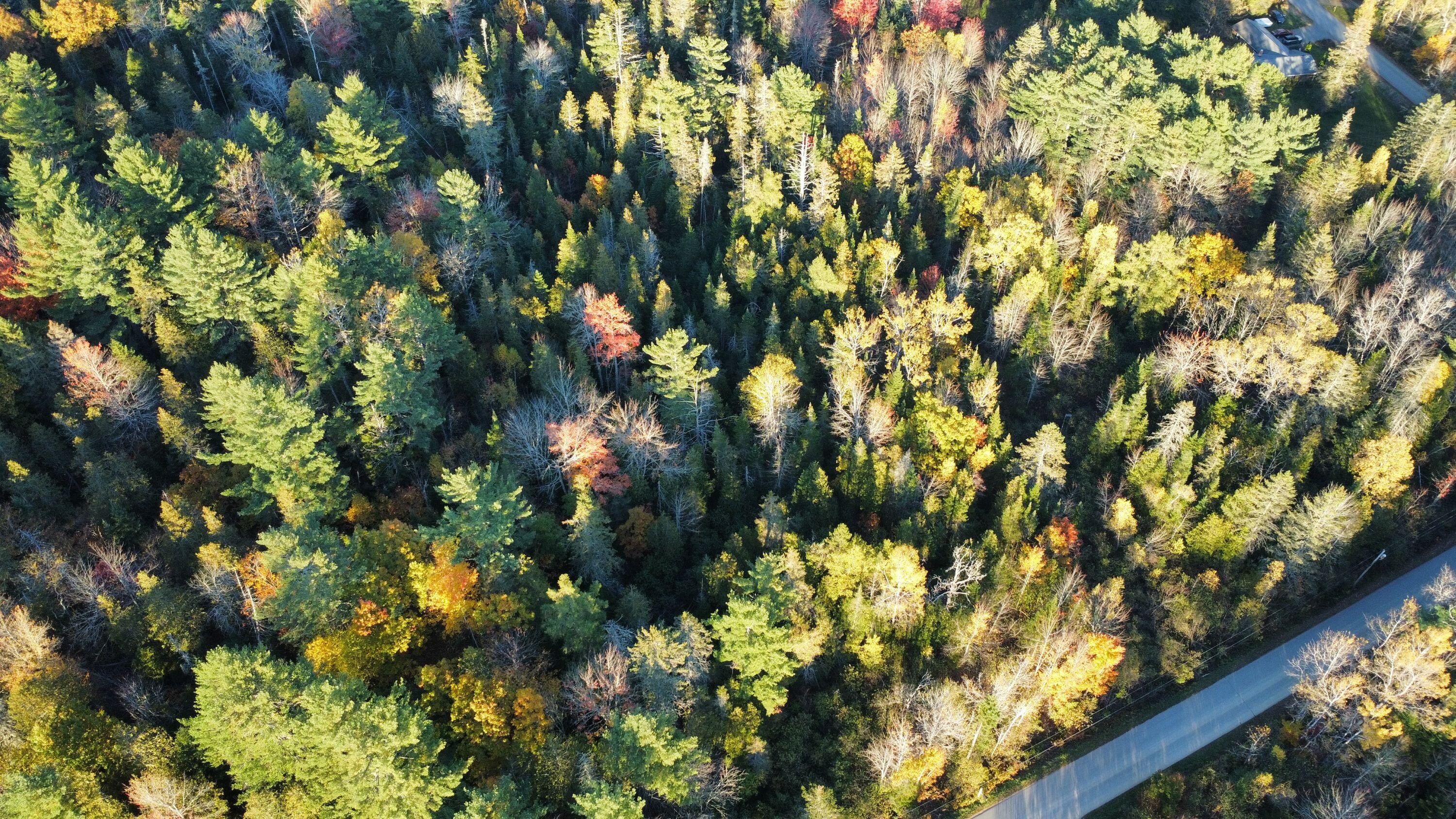 Winterport, Maine 04496, United States, ,Land,Active,235891