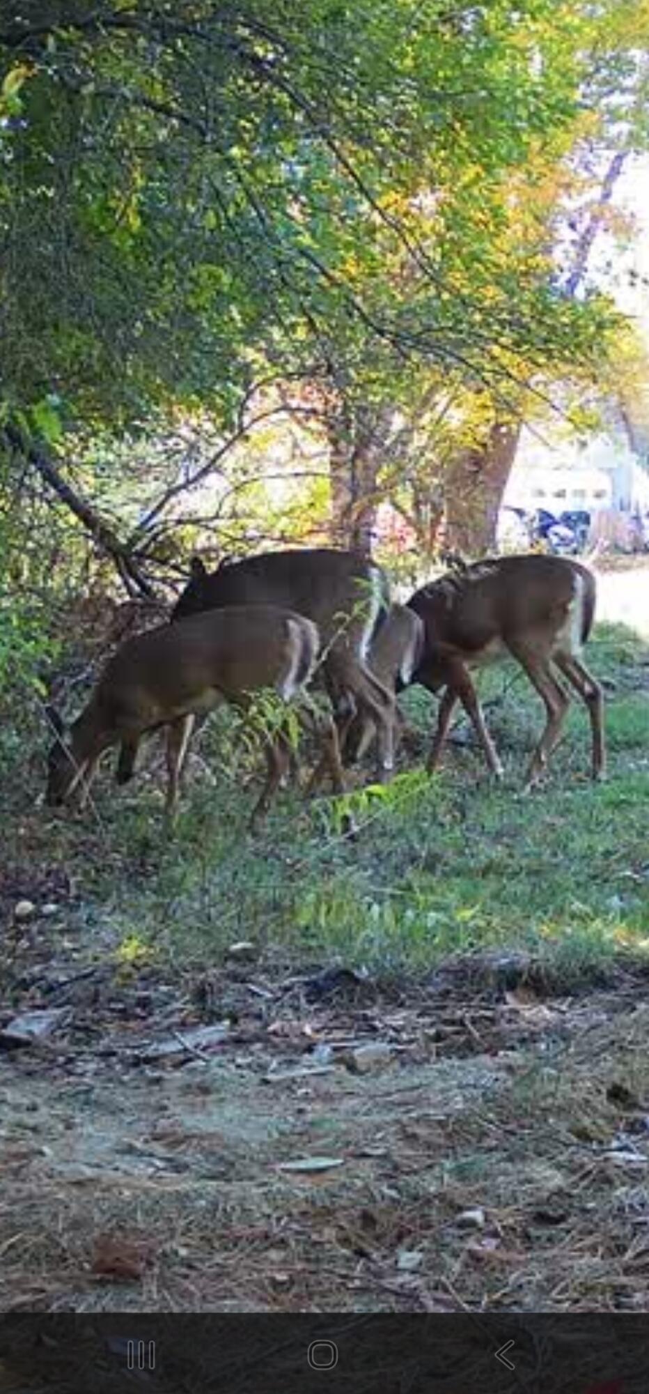 Winterport, Maine 04496, United States, ,Land,Active,235891
