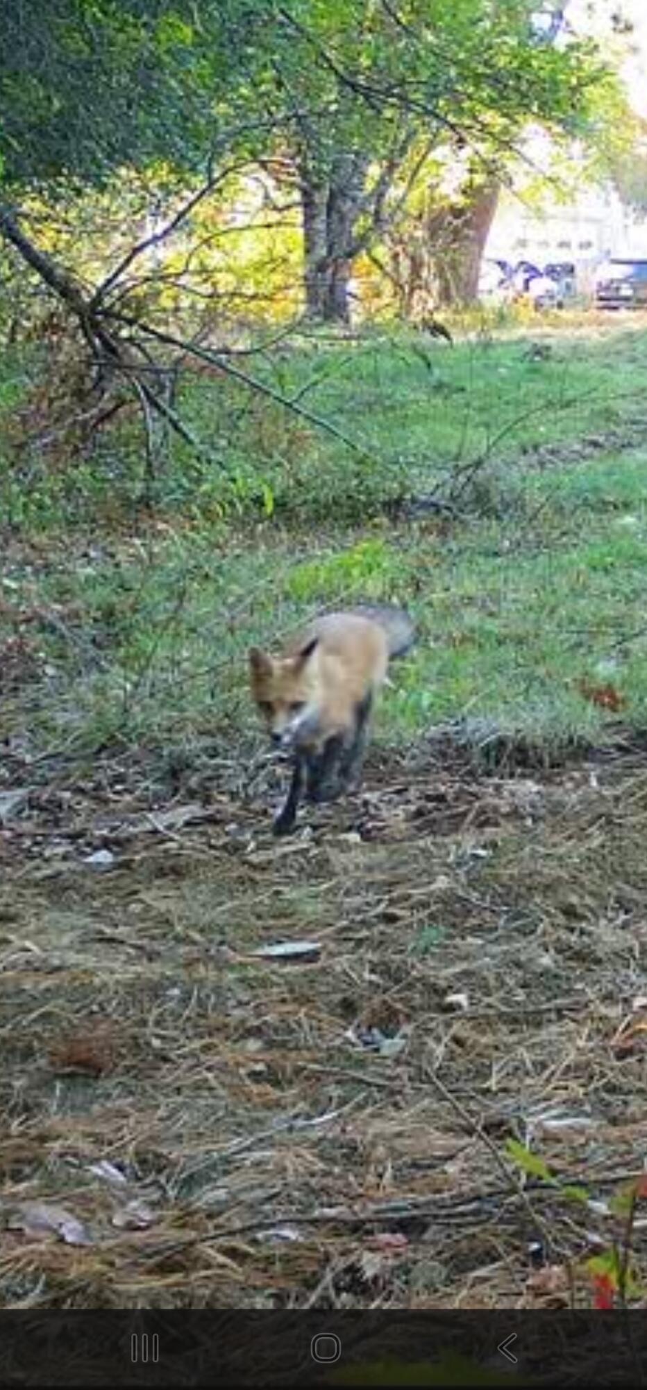 Winterport, Maine 04496, United States, ,Land,Active,235891