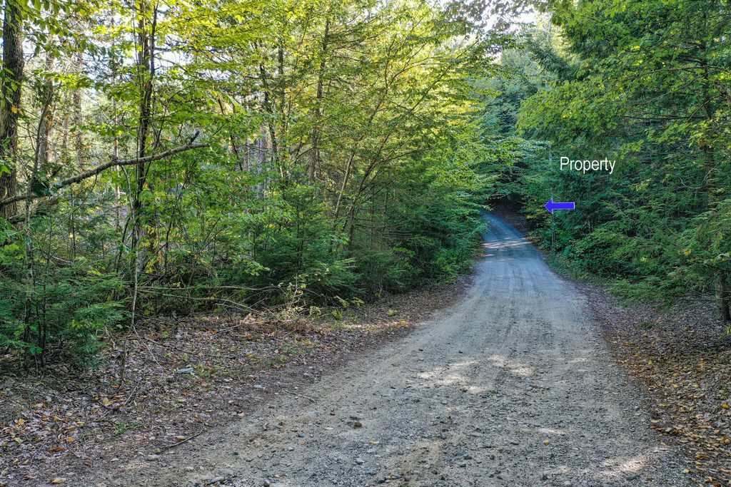 Photo of Lot 37 Wedge Heights Road, Orland, ME 04472 (MLS # 1639126)