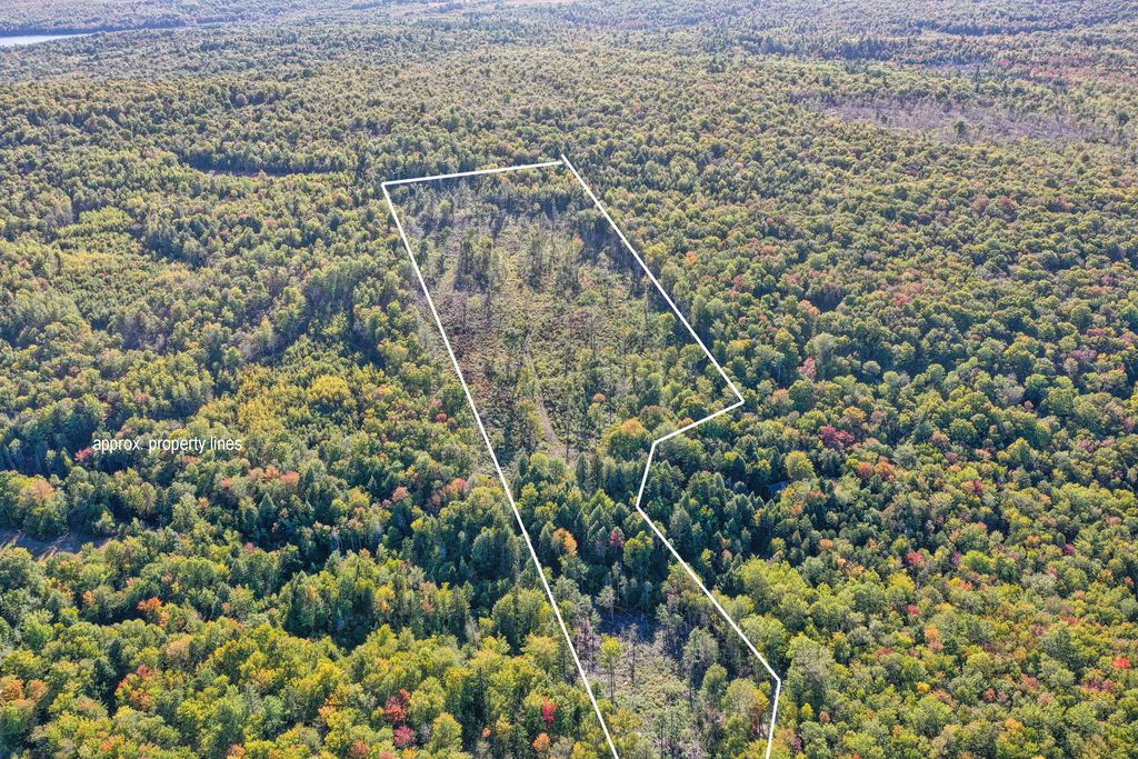 Photo of Lot 37 Wedge Heights Road, Orland, ME 04472 (MLS # 1639126)