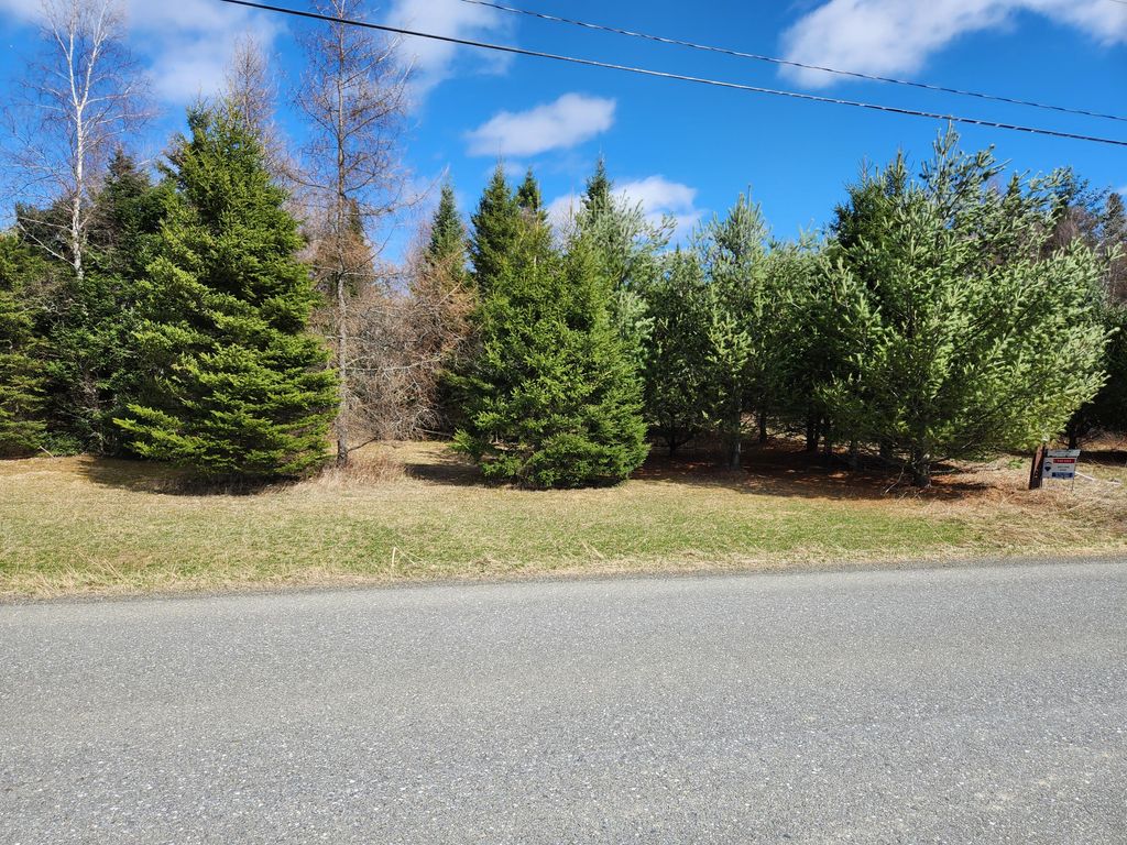 Photo of 9C West Gate Road, Caswell, ME 04750 (MLS # 1616565)
