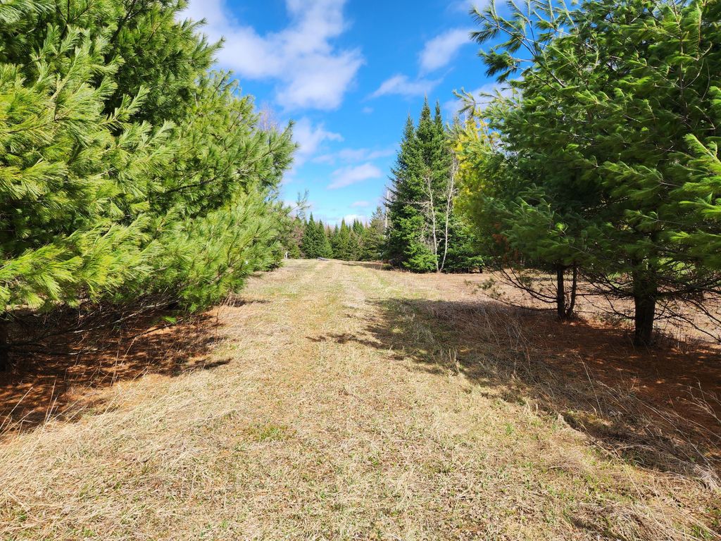 Photo of 9C West Gate Road, Caswell, ME 04750 (MLS # 1616565)