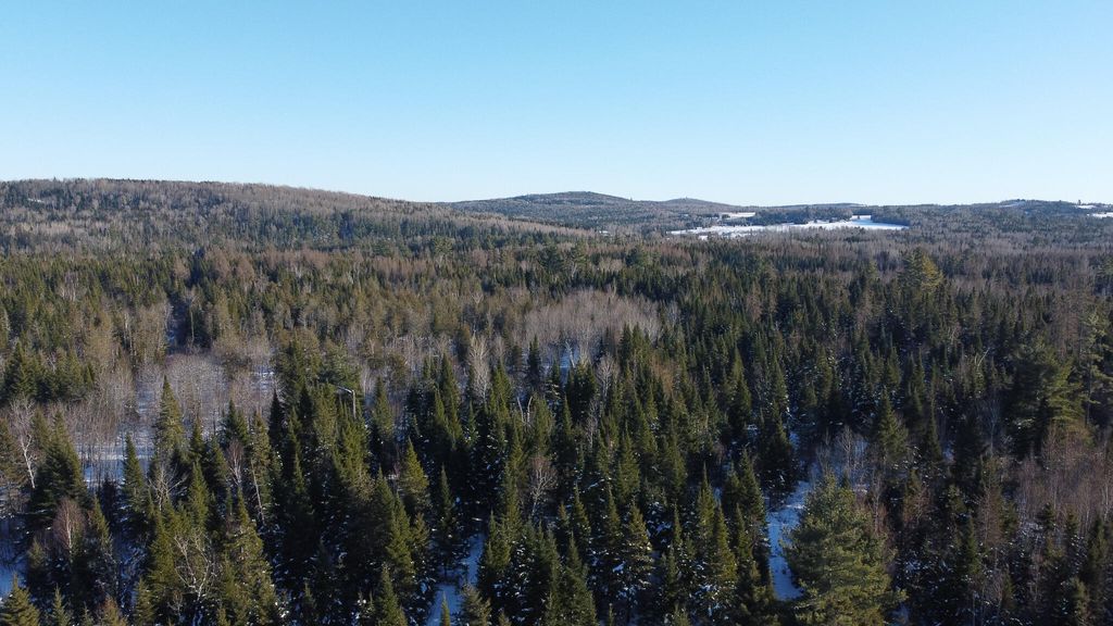 Photo of 773 Wrightville Road, Ashland, ME 04732 (MLS # 1650657)