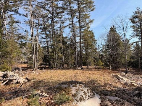 Photo of 0 Balsam Lane, Mount Desert, ME 04660 (MLS # 1657282)