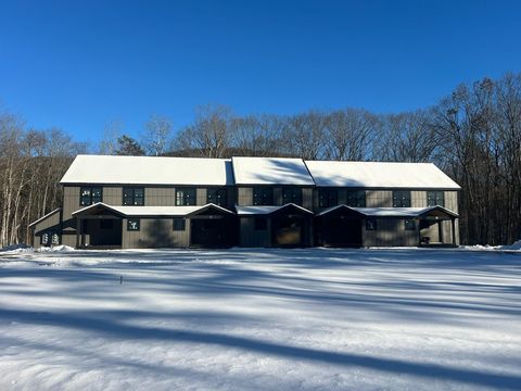 Photo of 14 Lodgepole Lane #14, Newry, ME 04261 (MLS # 1614148)