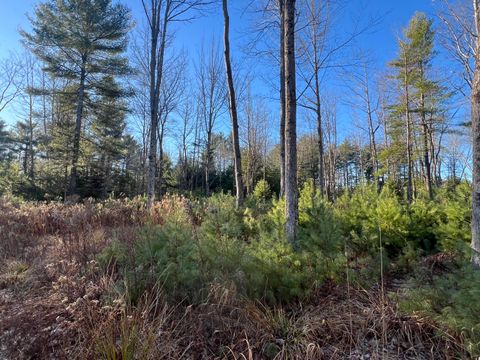 Photo of Lot # 7 Cranberry Way, Bowdoinham, ME 04008 (MLS # 1645719)