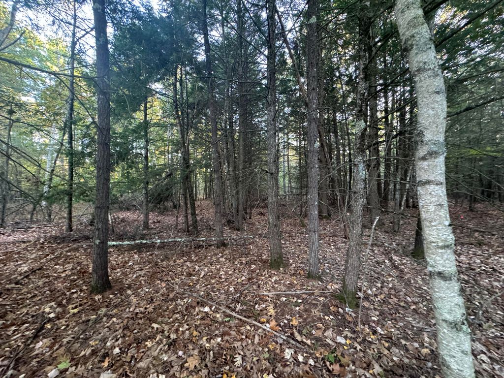 Photo of 0 New Dam Road, Waterboro, ME 04061 (MLS # 1640608)