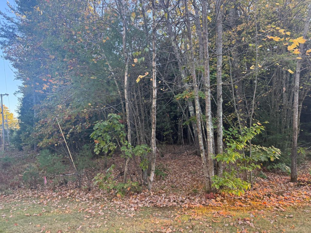 Photo of 0 New Dam Road, Waterboro, ME 04061 (MLS # 1640608)