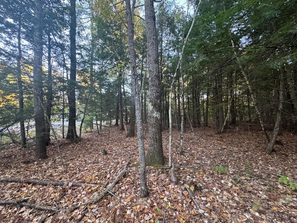 Photo of 0 New Dam Road, Waterboro, ME 04061 (MLS # 1640608)