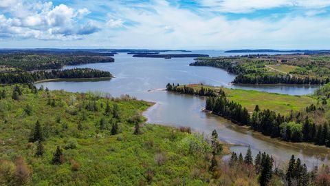 Photo of M2 L50 Mason Bay Road, Jonesport, ME 04649 (MLS # 1660337)