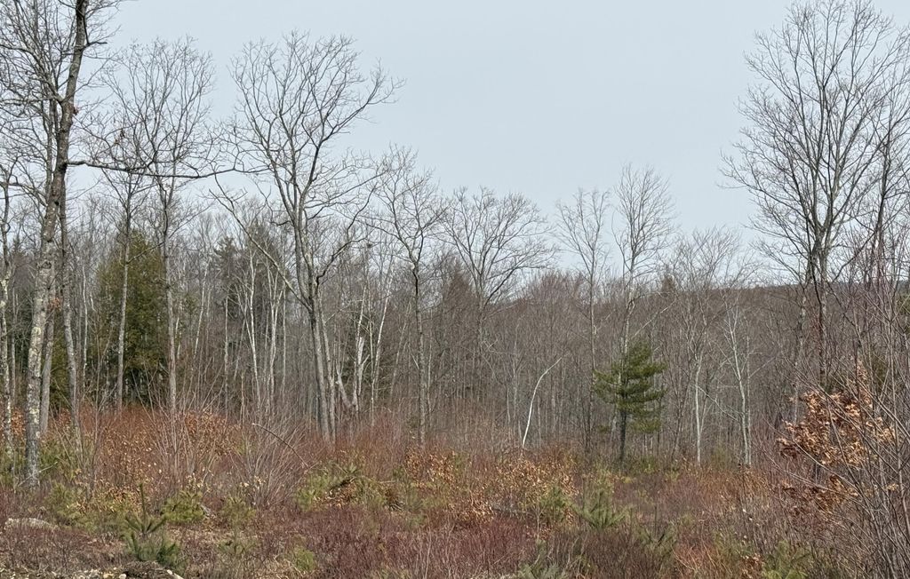 Photo of Lot A8 West Road, Waterboro, ME 04087 (MLS # 1654854)